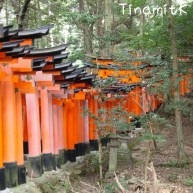mehr Torii's