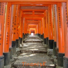 noch ein Torii-Tunnel