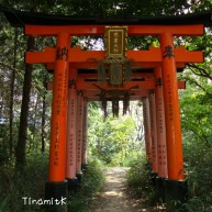 Torii's ins Nirgendwo