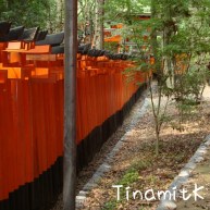 Torii's
