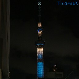 Blick auf den Skytree