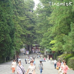 der Weg zum Toshogu Schrein