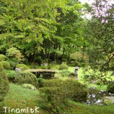 idyllischer kleiner Garten