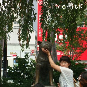 Statur von Hachiko